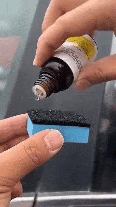 Restaurator Ornamente