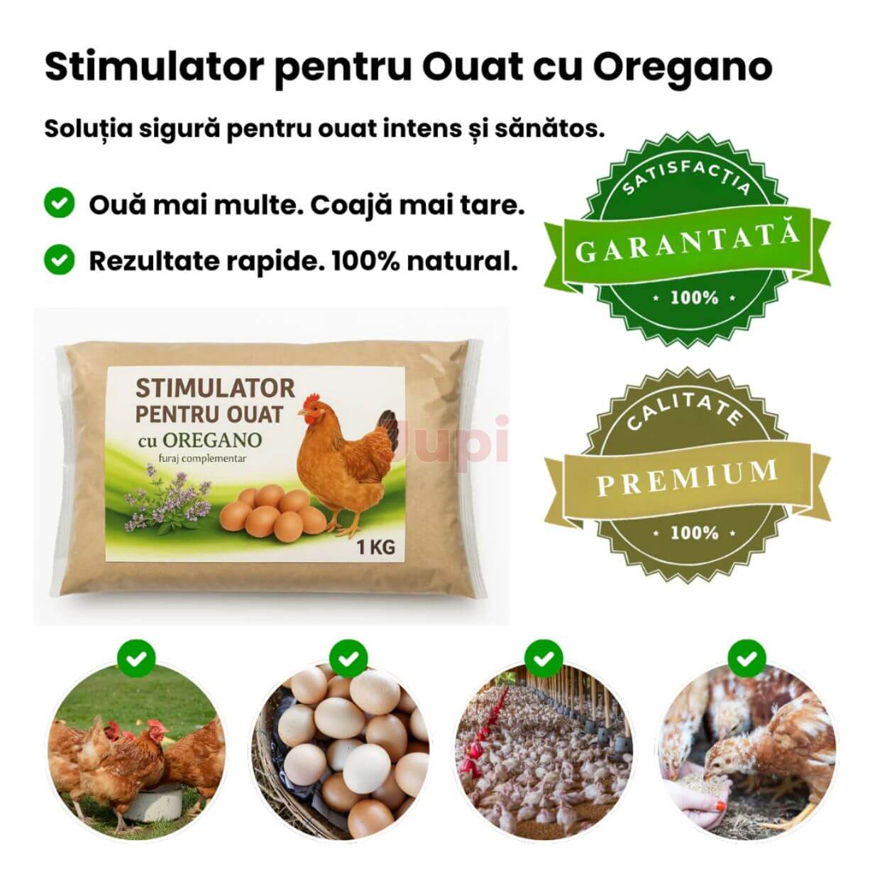 Stimulator Oat - Gaini